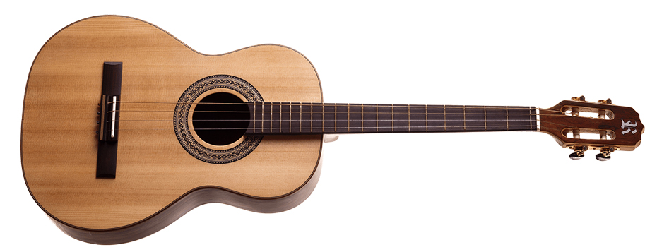 Acoustic Guitar	Professional	Tenor	4 Strings | RX208.AC.F.J - guitars | Rozini Instrumentos Musicais | 100% Brasileira