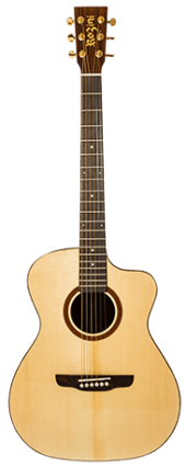 ACOUSTIC GUITAR PREMIUM FLAT | RX620.AT.N.CT.LP