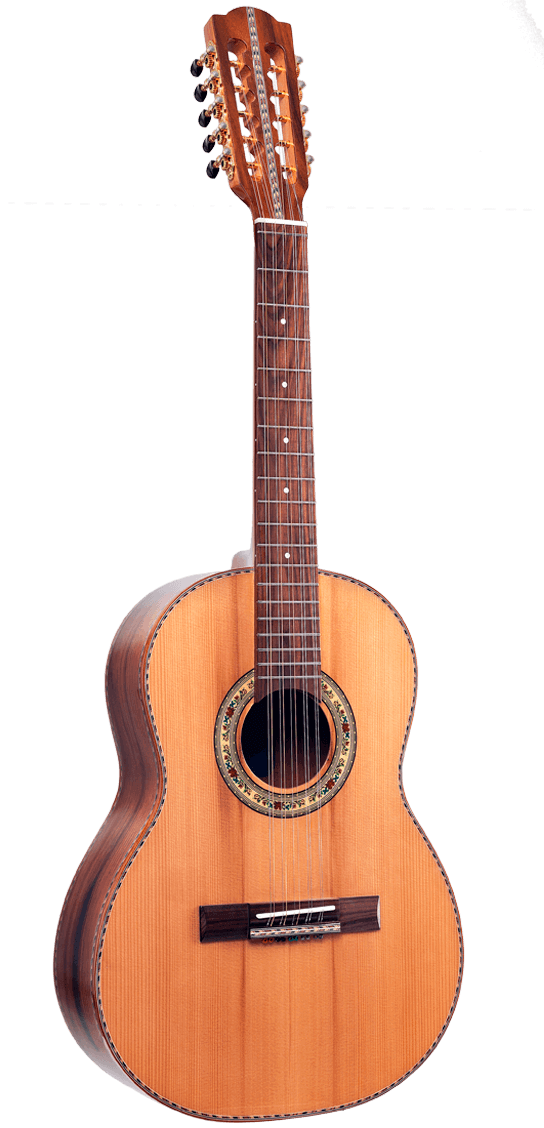 Viola Virtuoso Clássica | RV230.AC.N.SS