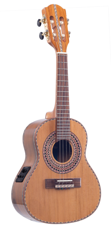 CAVACO VIRTUOSO ATIVO FISHMAN PRESYS II | RC23.FP2.N.CD