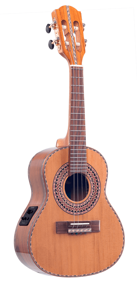 CAVACO VIRTUOSO ATIVO FISHMAN PRESYS II | RC23.FP2.N.CD